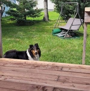 Meet your Posher, Dianne